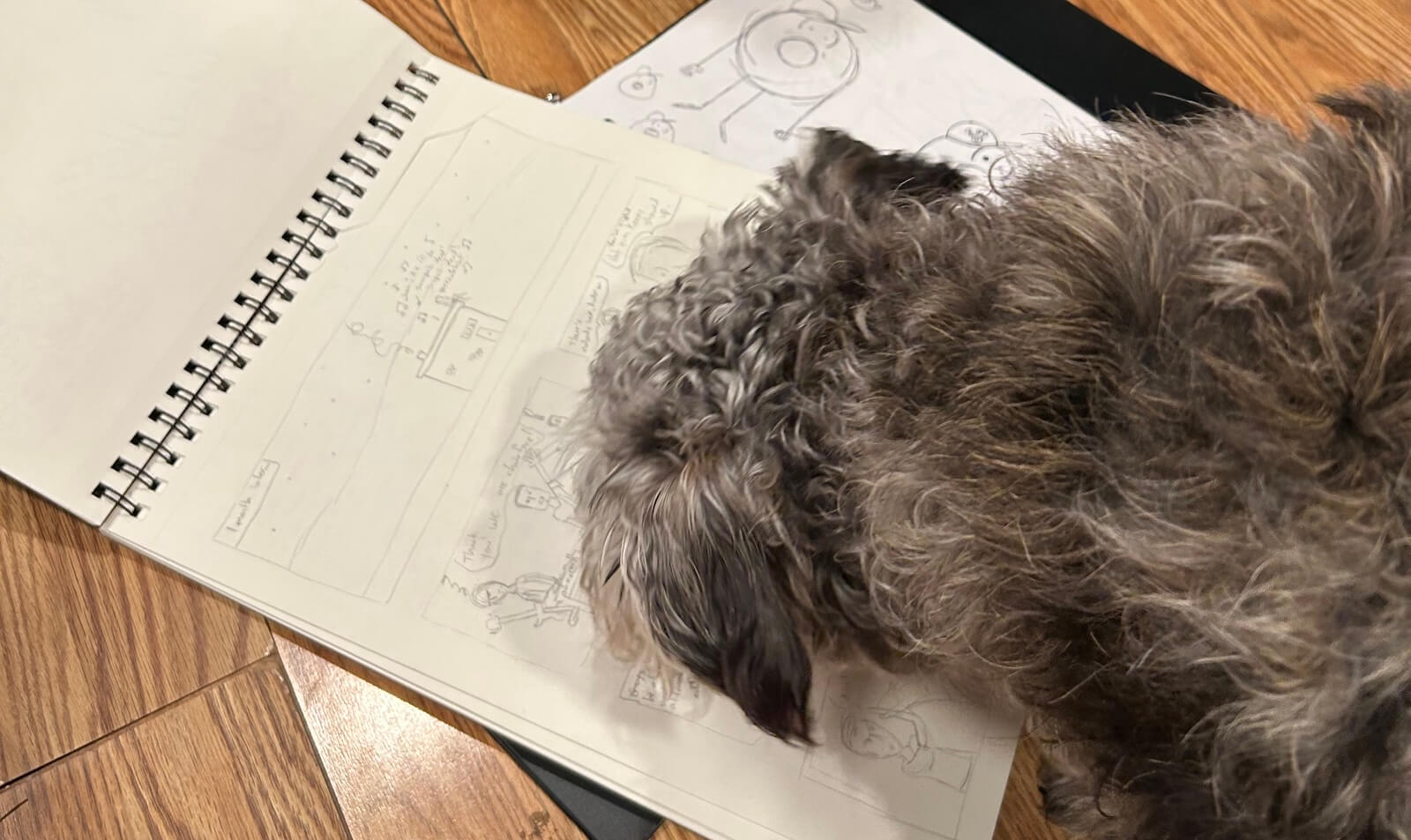 A dog sniffing some comics